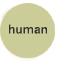 human